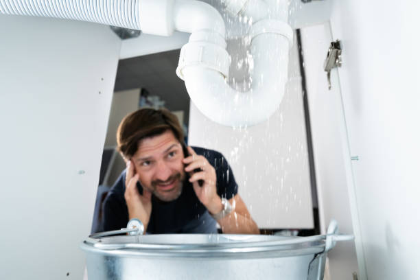 Best Sewer Line Repair  in Prceton, IN