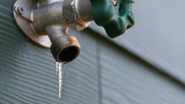 Best Water Leak Repair  in Prceton, IN